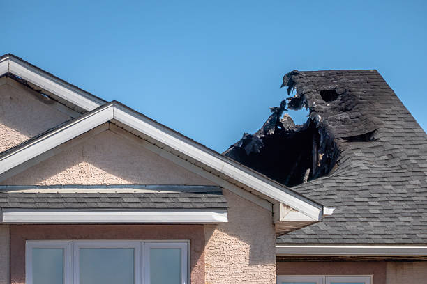 Top rated local Odor Removal specialists in Norwood, NJ
